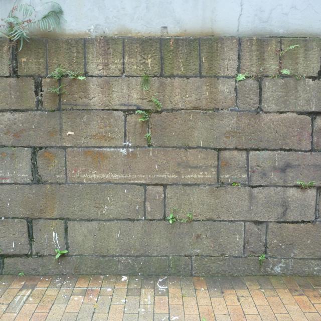 Wall outside Western Police Station