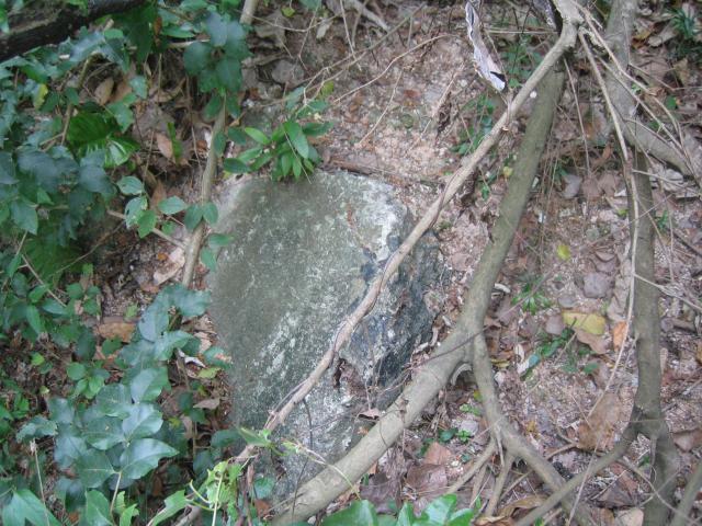 Mount Parish ARP tunnels