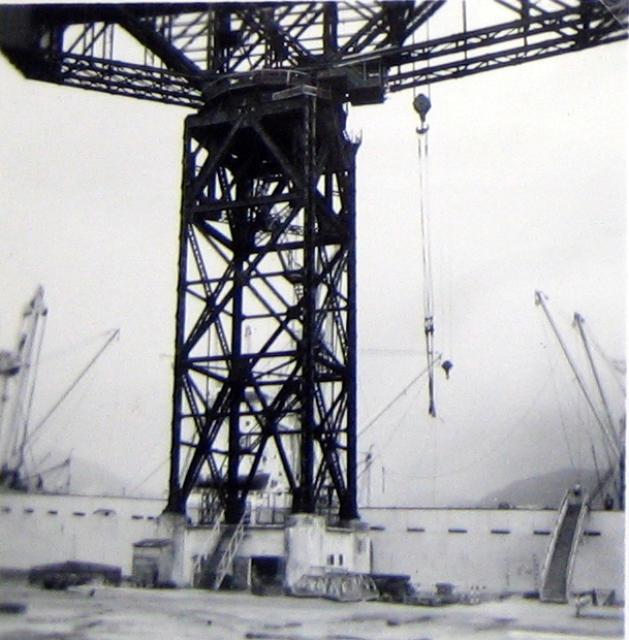 The hammerhead crane