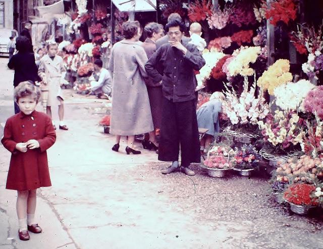 Flower market