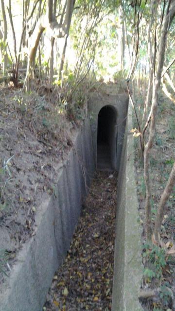4.50pm trench leading to entrance to pillbox.jpg