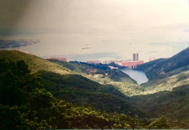 view from the Peak 1994 - Pokfulam Reservoir.