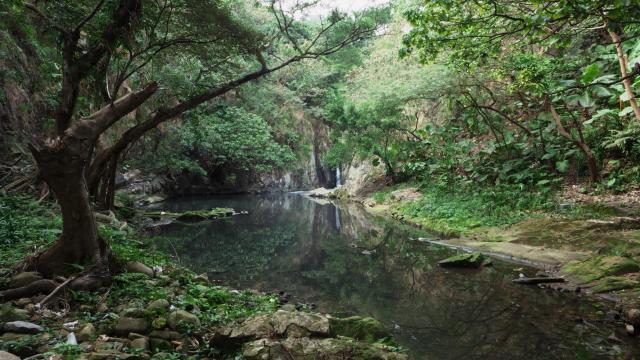 Second Waterfall and Pool below Pokfulam Road