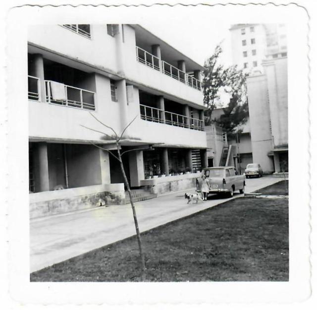Chan Gardens opposite Kowloon Hospital.  1960/61