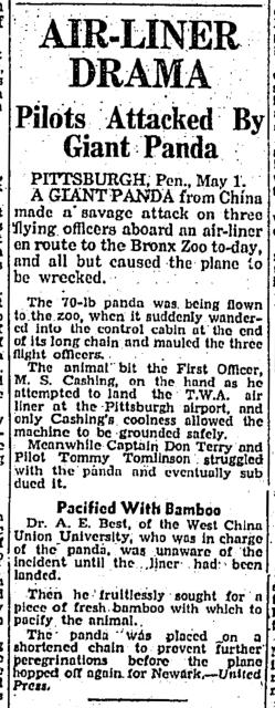 Kung-fu Panda-attacks pilots-HK Telegraph-02-05-1939