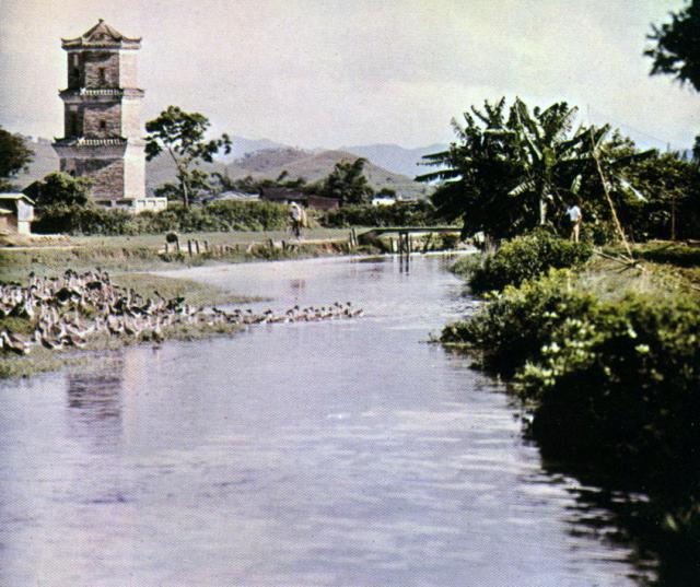 Ping Shan pagoda-1964.jpg