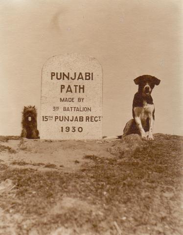 Punjabi Path