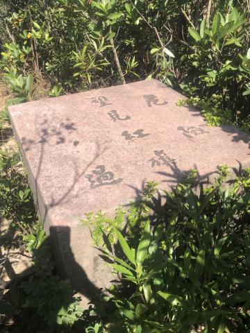 Concrete block in Tai Lam Country Park