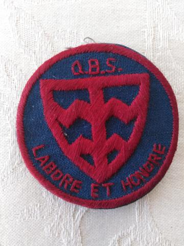 Quarry Bay School badge.