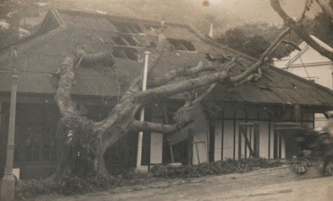 typhoon damage 1923