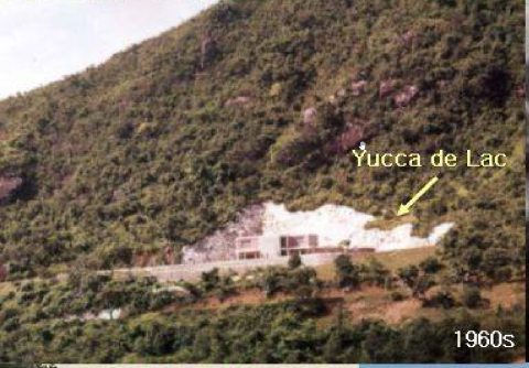 1960s yocca de lac