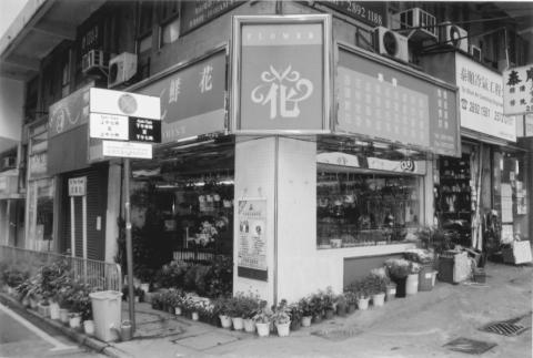 Flower Shop, Shan Kwong Rd