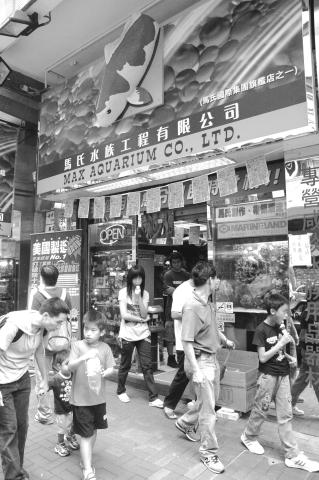  Goldfish Shops, Tung Choi ST
