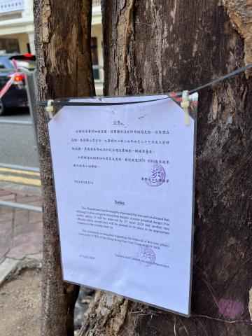The tree was scheduled to be removed by 27th April, 2024. 