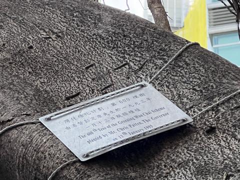 The plaque indicating the history of plantation of this 600th tree of the Greening WanChai Scheme. 