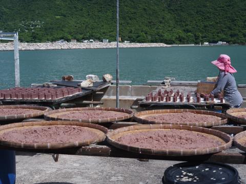 Shrimp paste\brick processing under the sun, Tai O