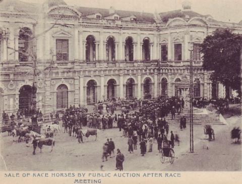 1900s City Hall - Sale of Racehorses by Public Auction