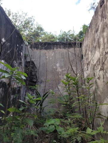 Pottinger Battery DEL Engine House 