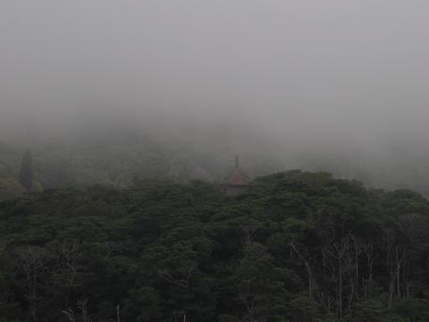Pagoda of the Flower Ornament Sutra, in the mist
