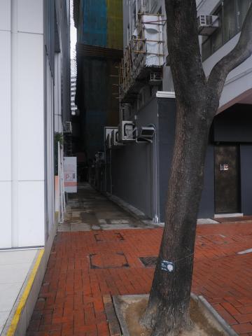 Boundary Wall