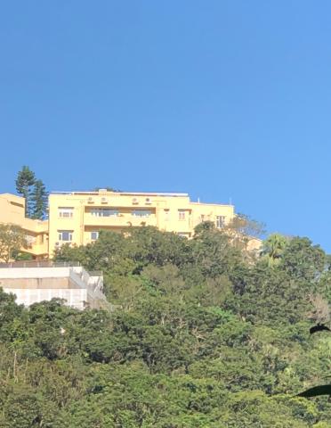 Cameron Mansions 29 October 2019