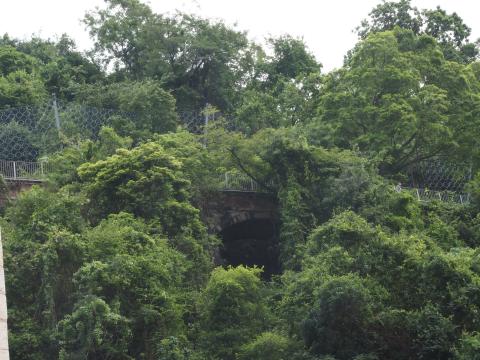 Bowen Road Viaduct, from Kennedy Road near the new Hopewell Garden