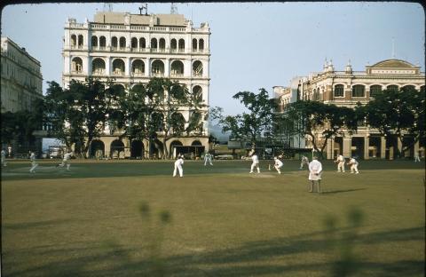 cricket field