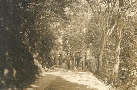 old peak road  1903