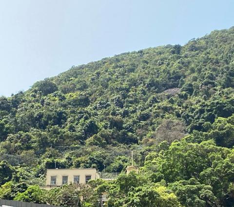 Quarry Bay School today (with small angle of elevation)