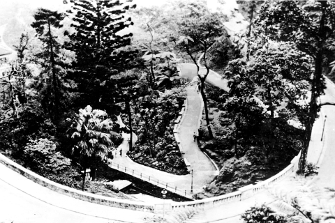 elegant Robinson Road