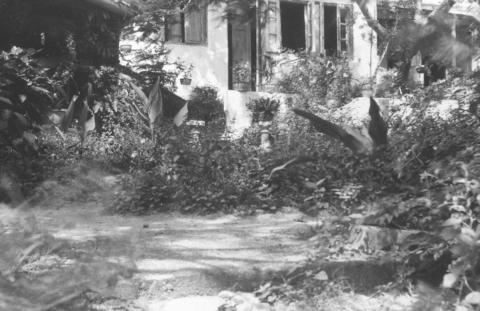 house #1, sunnyside, cheung chau