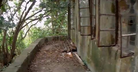 house 14 south facing front on platform