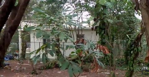 house 14a top floor east side