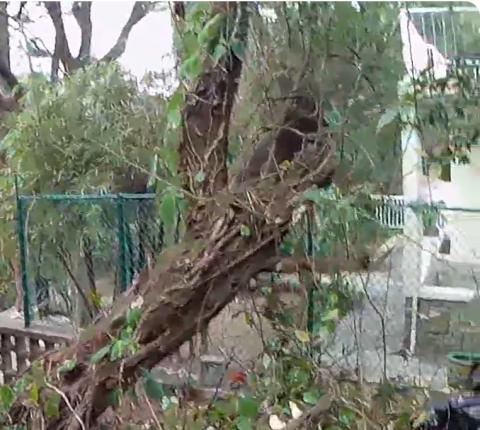 house 14a cheung chau front corner