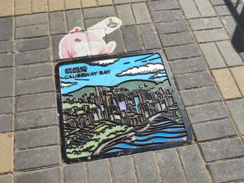 Themed inspection cover near Victoria Park