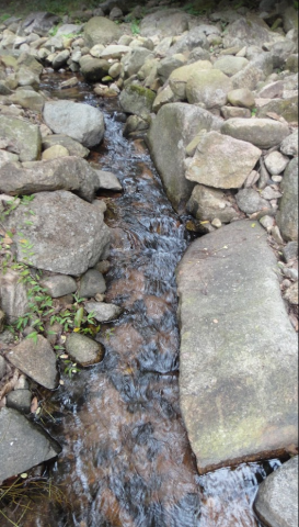 small stream