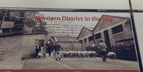 pig depot, Forbes Street (1960s)