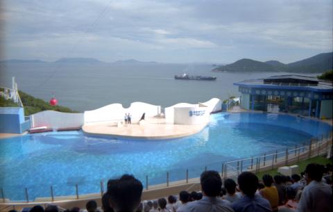 Seal show at the Ocean Theatre, Ocean Park, July 1998