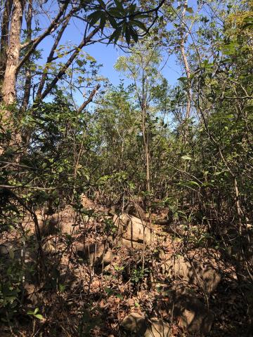 300 yard firing platform 