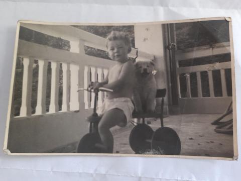 Tim, Trixie, Trike