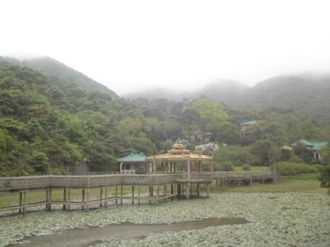 Lung Tsai Ng Yuen 2010