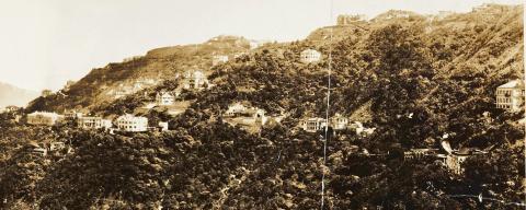 Barker Road houses c.1925