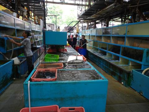 Aberdeen Wholesale Fish Market