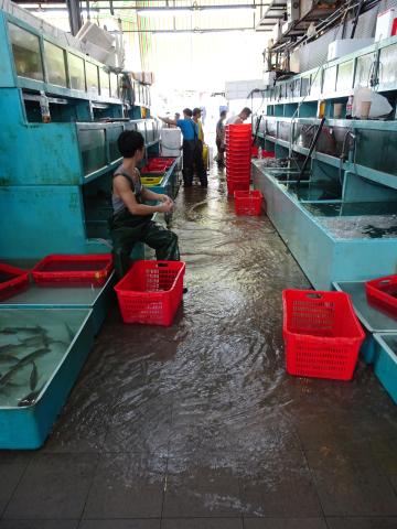 Aberdeen Wholesale Fish Market