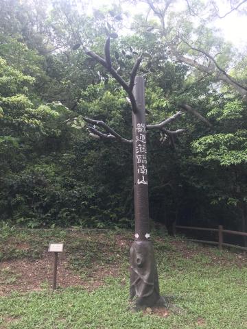 AFCD Nam Shan Campsite Decoration