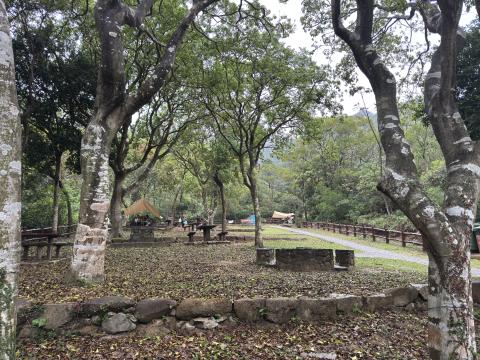 AFCD Shek Pik Campsite Campground