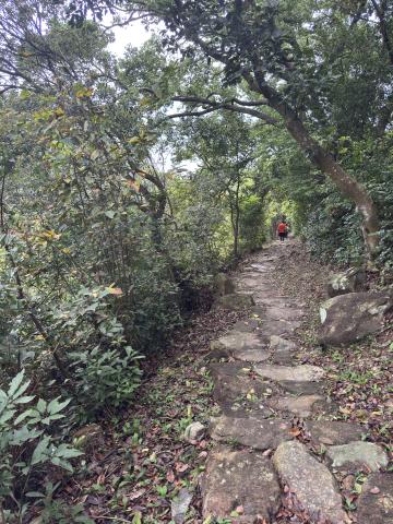 Tai Long Wan Campsite Footpath