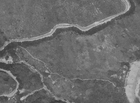Aerial photo of Tai Long Wan Campsite from 1982