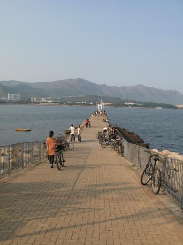 Tai Po Kau Ferry Pier