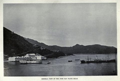 General View of the Junk Bay Flour Mills